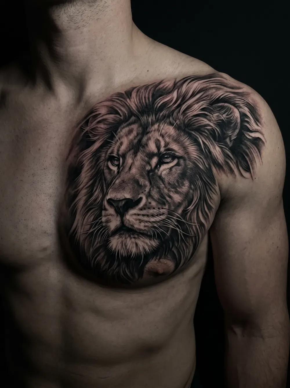 Tatuagem de retrato realista de leão ao longo do peito