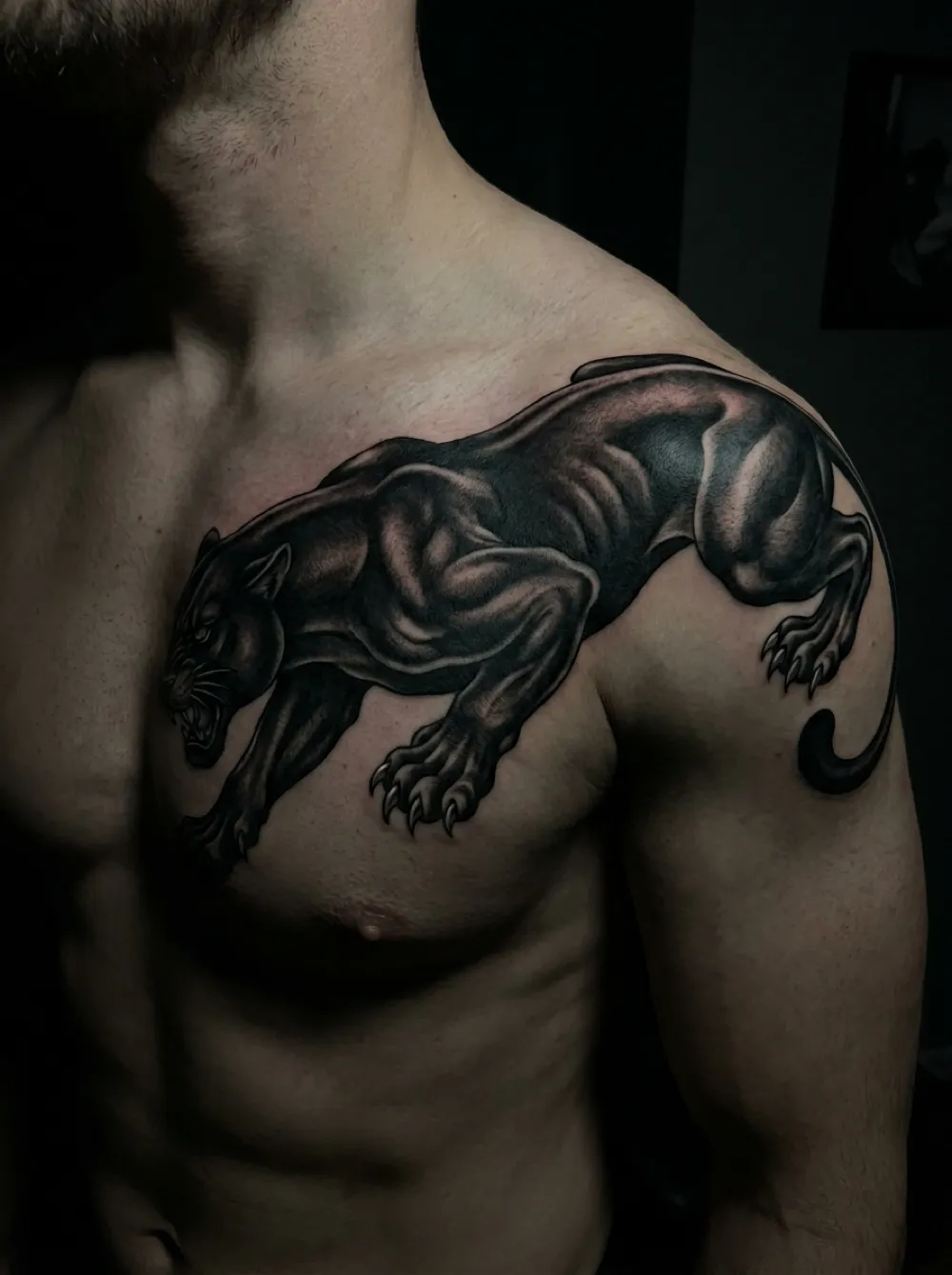 Black panther prowling across the chest and shoulder